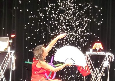 magicien noel calvados