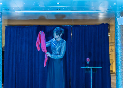 magie diner spectacle calvados