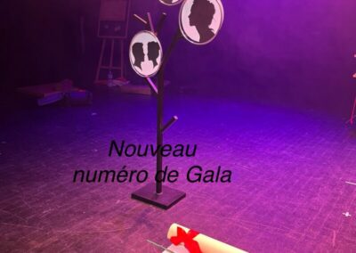 Numéro de gala magie en Normandie