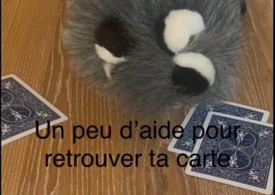 Tour de magie cartes caen e1777465945717